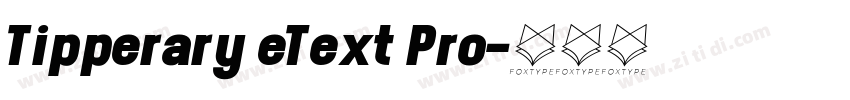 Tipperary eText Pro字体转换
